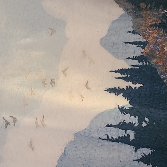 "Tapestry" flannel hoodie size large - Picture 2 of 8